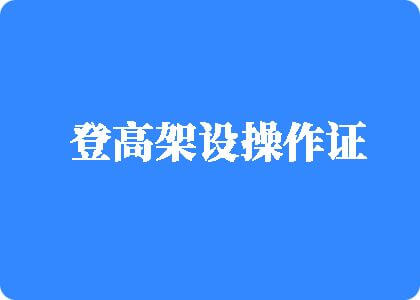 插我嫩逼舔鸡巴好大视频登高架设操作证